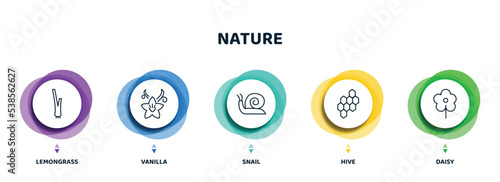 editable thin line icons with infographic template. infographic for nature concept. included lemongrass, vanilla, snail, hive, daisy icons.