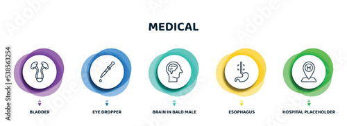 editable thin line icons with infographic template. infographic for medical concept. included bladder, eye dropper, brain in bald male head, esophagus, hospital placeholder icons.