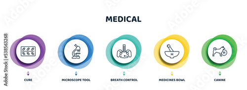 editable thin line icons with infographic template. infographic for medical concept. included cure, microscope tool, breath control, medicines bowl, canine icons.