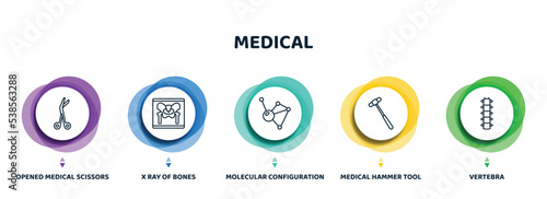 editable thin line icons with infographic template. infographic for medical concept. included opened medical scissors, x ray of bones, molecular configuration, medical hammer tool, vertebra icons.