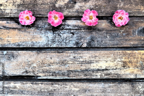 Buds of spray pink terry roses on a wooden background. Four beautiful roses are laid out on the table in a horizontal line. copy space. Free space for text. Card, surface layout.