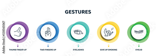 editable thin line icons with infographic template. infographic for gestures concept. included thumb finger up, two fingers up, eyelashes, give up smoking, eyelid icons.