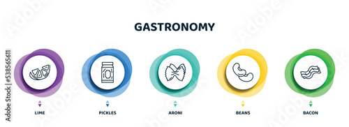 editable thin line icons with infographic template. infographic for gastronomy concept. included lime, pickles, aroni, beans, bacon icons.