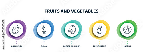 editable thin line icons with infographic template. infographic for fruits and vegetables concept. included blackberry, onion, breast milk fruit, passion fruit, paprika icons.