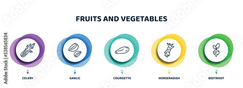 editable thin line icons with infographic template. infographic for fruits and vegetables concept. included celery, garlic, courgette, horseradish, beetroot icons.