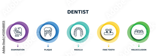 editable thin line icons with infographic template. infographic for dentist concept. included examination, plaque, maxilla, fake tooth, malocclusion icons.