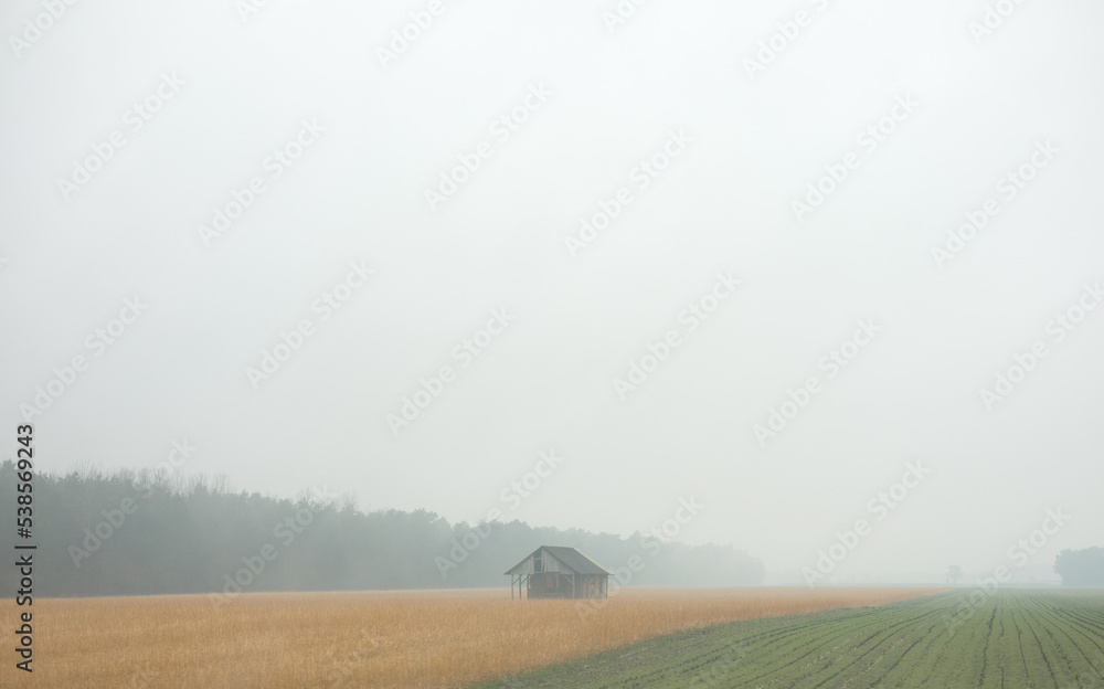 Obraz premium Reif zur Ernte