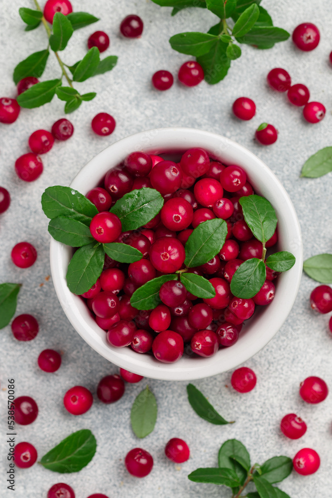 Fresh ripe organic wild cranberries in a white plate on a gray concrete background. forest Berries and leaves. Vitamin. The concept of autumn. Selective focus, top view Fresh ripe organic wild cranberries in a white plate on a gray concrete background. forest Berries and leaves. Vitamin. The concept of autumn. Selective focus, top view