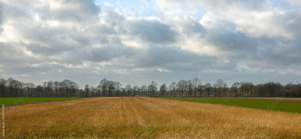 Obraz premium Strohernte