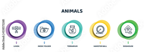 editable thin line icons with infographic template. infographic for animals concept. included leash, medic folder, terrarium, hamster ball, doghouse icons.