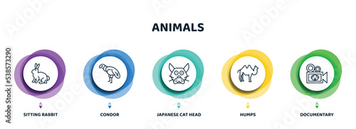 editable thin line icons with infographic template. infographic for animals concept. included sitting rabbit, condor, japanese cat head, humps, documentary icons.