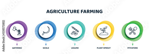 editable thin line icons with infographic template. infographic for agriculture farming concept. included watering, sickle, legume, plant sprout, pitchfork icons. photo