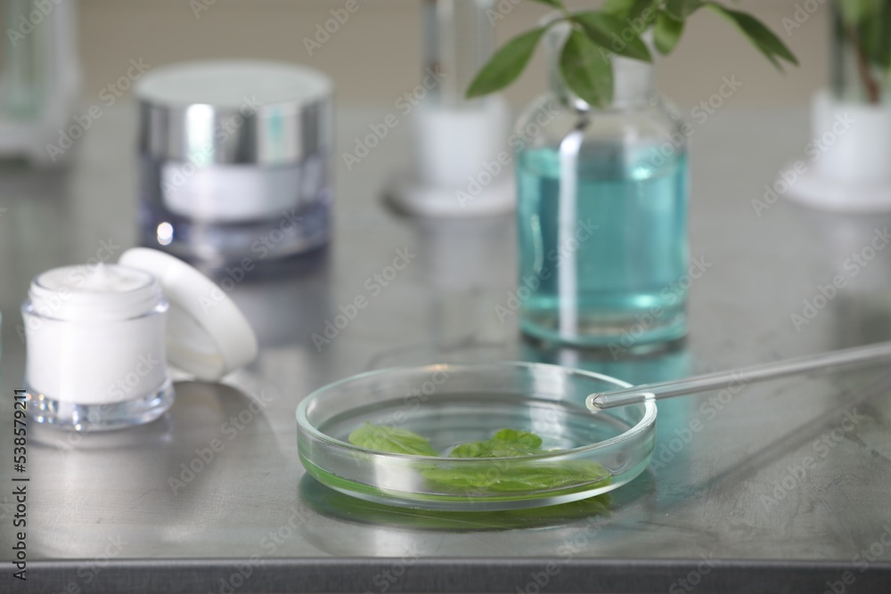 Glass tubes, containers and petri dish with leaves on metal table indoors Glass tubes, containers and petri dish with leaves on metal table indoors