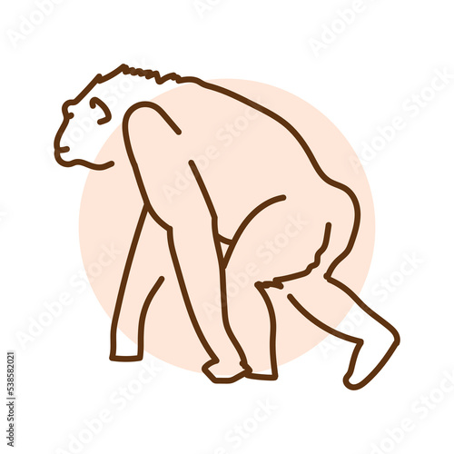 Chimpanzee color line illustration. Animals of Africa.