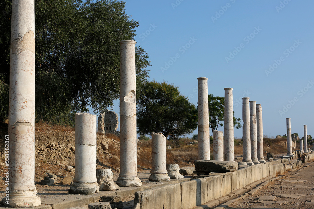 columns in Side