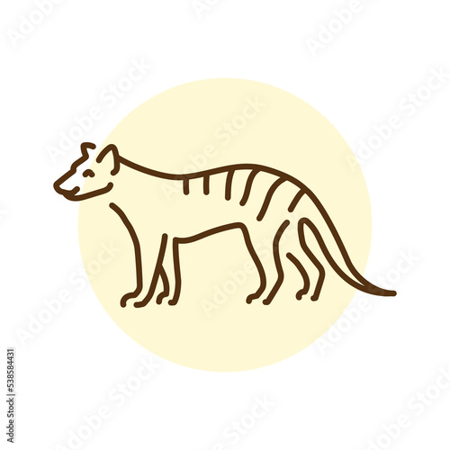 Marsupial wolf color line illustration. Animals of Australia