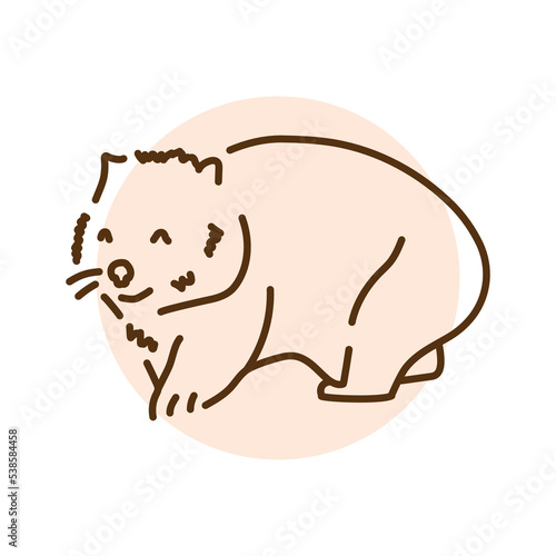 Australian wombat color line illustration. Animals of Australia