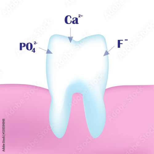 3D tooth with calcium, phosphorus and phosphate ions. The scheme of remineralization of tooth enamel