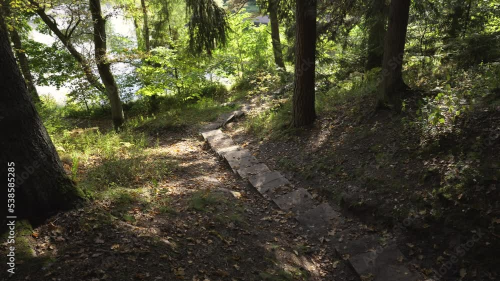 Walking path with board steps to the river in the coniferous forest park. Green bushes in the sunlight on the shore. Autumn in the Gauja National Park in Latvia Walking path with board steps to the river in the coniferous forest park. Green bushes in the sunlight on the shore. Autumn in the Gauja National Park in Latvia