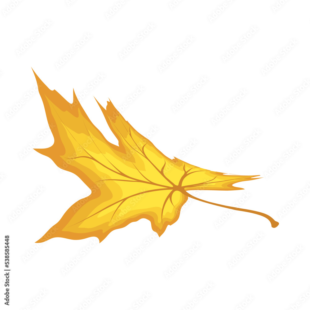 Maple Leaf Maple Leaf