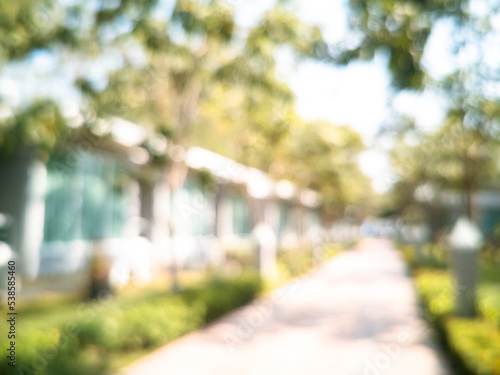 Blur background green park garden nature bright sunny forest. Blurry outdoor park in spring time glowing shinny day template with sunlight bokeh. Abstract blurred background banner copy space.