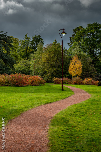 path in the park during autumn
