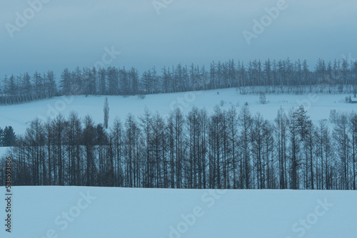 冬の美瑛の丘 北海道美瑛町の観光イメージ