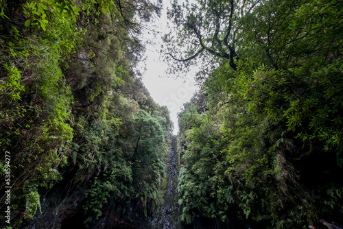 Washing of the 25 sources near Paul de la Serra in Madeira