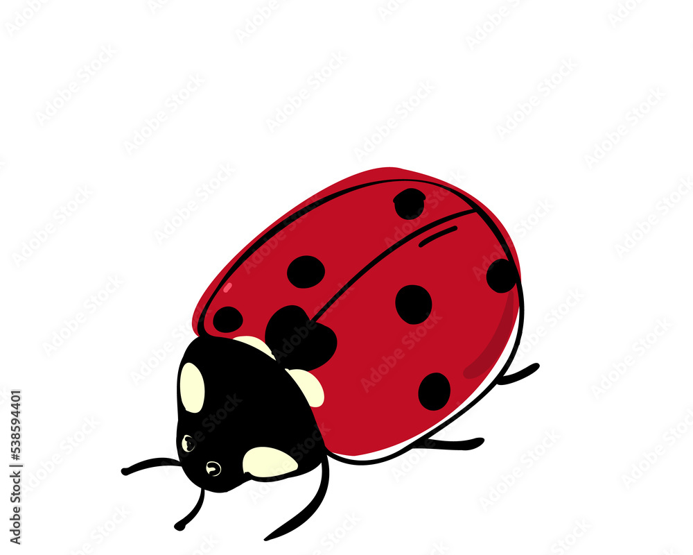 Obraz premium Ladybug