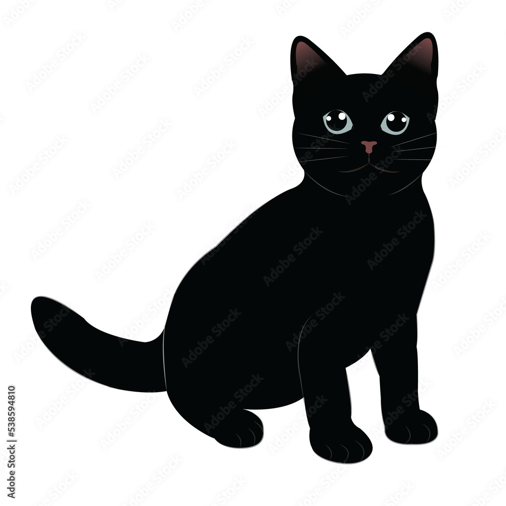 Fototapeta premium Black cat Collection