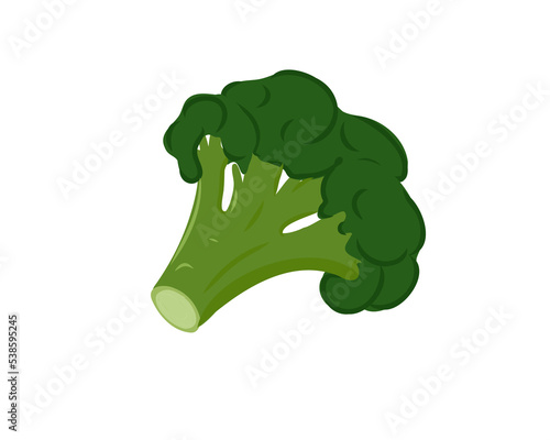 Fresh head of broccoli
