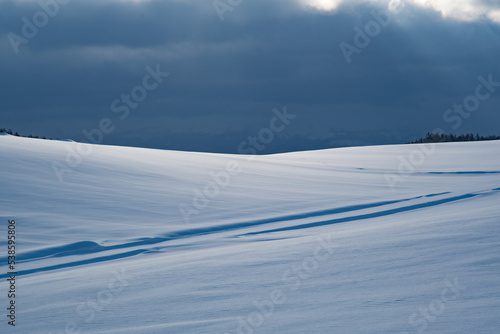冬の美瑛の丘  北海道美瑛町の観光イメージ © tkyszk