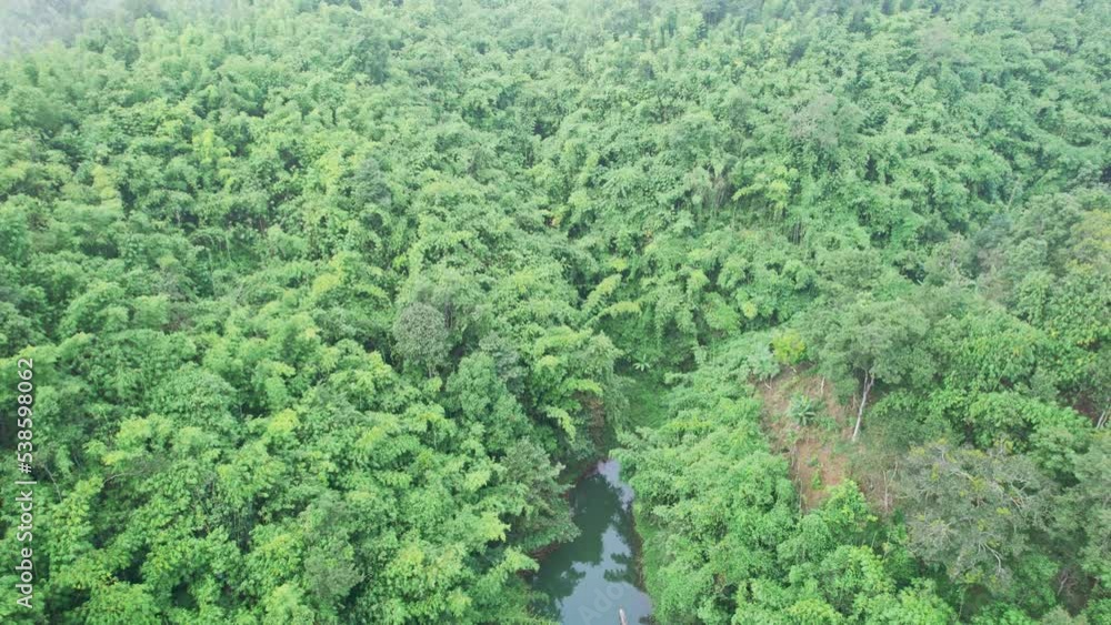 Natural foggy and tropical rainforest of abundance ecosystem in the morning Natural foggy and tropical rainforest of abundance ecosystem in the morning