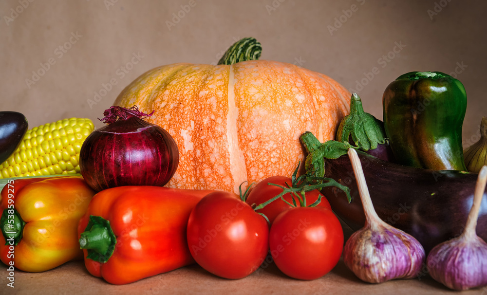 The concept of a happy Thanksgiving. Fresh harvest of vegetables pumpkin, corn, paprika, tomatoes, onions, eggplants. Organic background