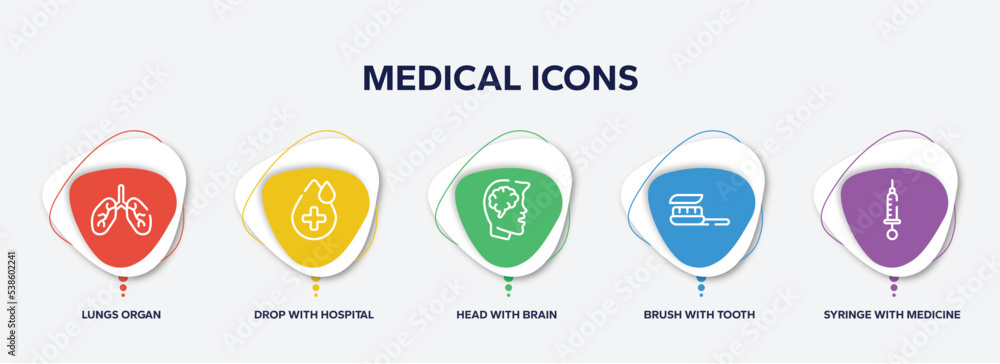 infographic element template with medical icons outline icons such as lungs organ, drop with hospital, head with brain, brush tooth paste, syringe medicine vector. infographic element template with medical icons outline icons such as lungs organ, drop with hospital, head with brain, brush tooth paste, syringe medicine vector.