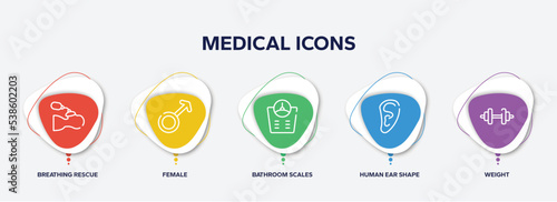 infographic element template with medical icons outline icons such as breathing rescue, female, bathroom scales, human ear shape, weight vector.