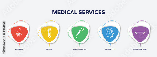 infographic element template with medical services outline icons such as ginseng, splint, ear dropper, positivity, surgical tray vector.