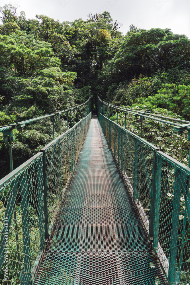 Obraz premium Long bridge in the middle of a tropical forest in Costa Rica