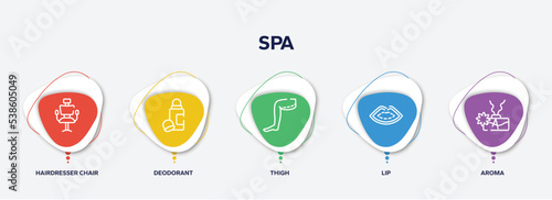 infographic element template with spa outline icons such as hairdresser chair, deodorant, thigh, lip, aroma vector.