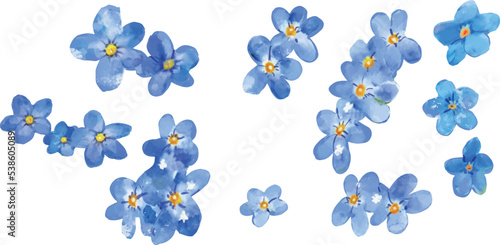 勿忘草の花 水彩風ベクターイラスト素材