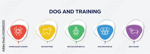 infographic element template with dog and training outline icons such as spider black widow, bichon frise, red soldier beetle, dog moustache, bas hound vector.