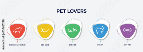 infographic element template with pet lovers outline icons such as bernese mountain, dog lying, sad dog, husky, pet toy vector.