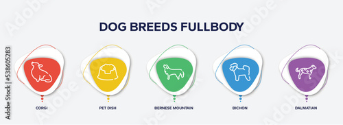infographic element template with dog breeds fullbody outline icons such as corgi, pet dish, bernese mountain dog, bichon, dalmatian vector.