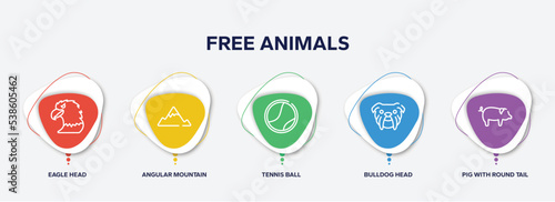 infographic element template with free animals outline icons such as eagle head, angular mountain, tennis ball, bulldog head, pig with round tail vector.