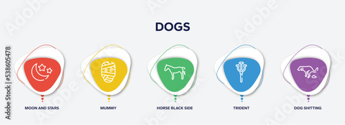 infographic element template with dogs outline icons such as moon and stars, mummy, horse black side shape, trident, dog shitting vector.