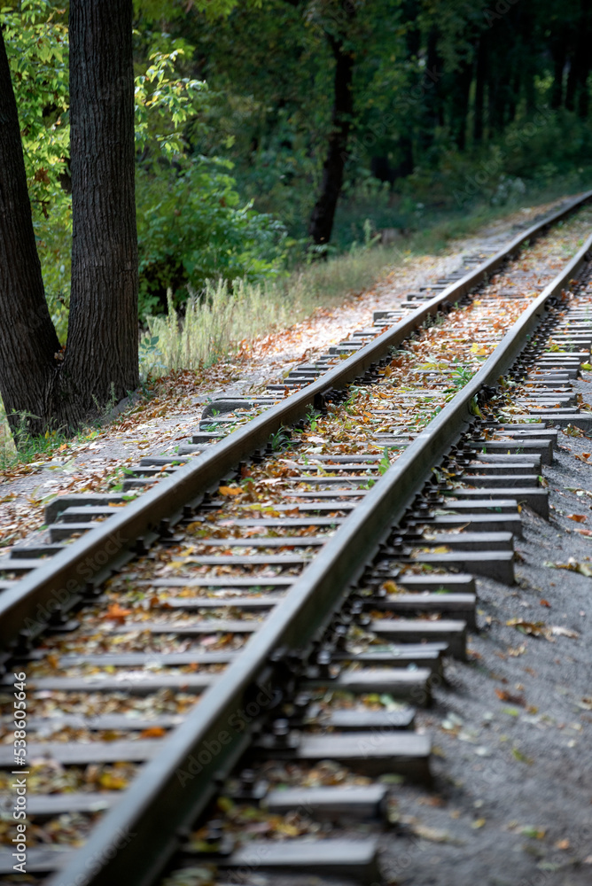 Fototapeta premium Railroad track leading through forest. Rails strewn with autumn leaves. Vertical frame