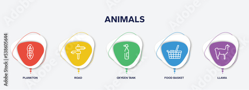 infographic element template with animals outline icons such as plankton, road, oxygen tank, food basket, llama vector.