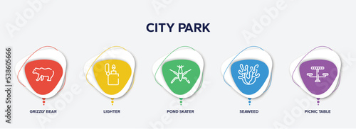 infographic element template with city park outline icons such as grizzly bear, lighter, pond skater, seaweed, picnic table vector.