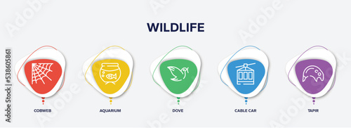 infographic element template with wildlife outline icons such as cobweb, aquarium, dove, cable car, tapir vector.