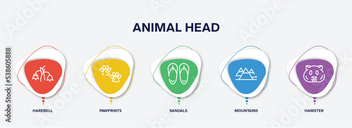 infographic element template with animal head outline icons such as harebell, pawprints, sandals, mountains, hamster vector.
